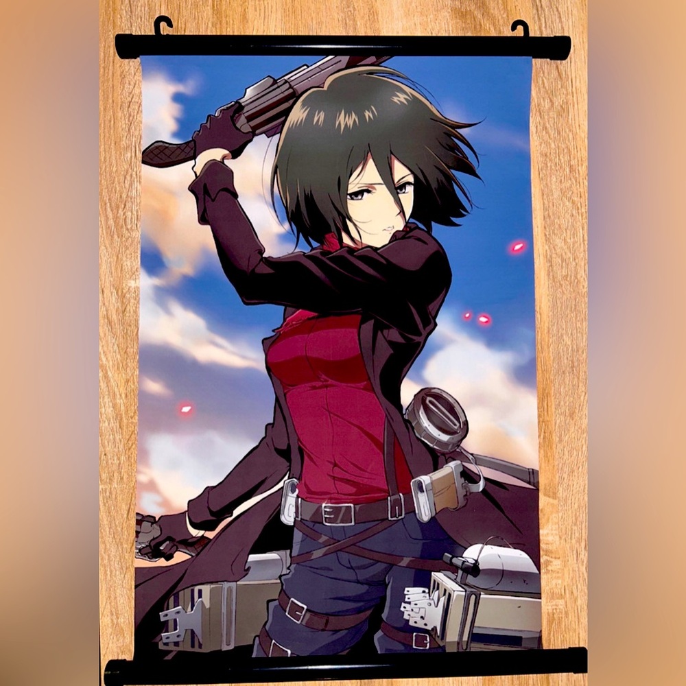 Attack on Titan (Anime) - Mikasa Ackerman wall school